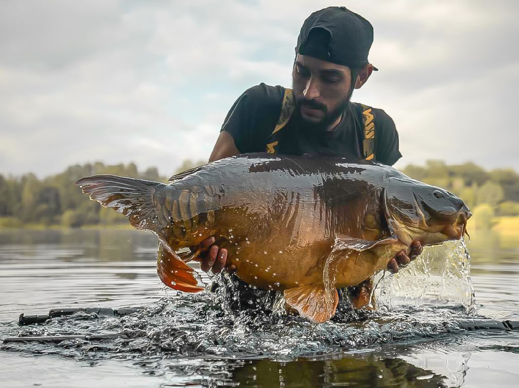 CARP LSD | Les photos carpes dans l’eau
