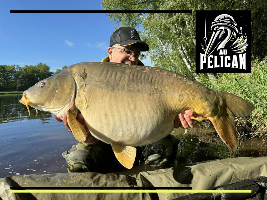 CARP LSD | Nouvelle gamme de matériel de montage carpe Aupelican