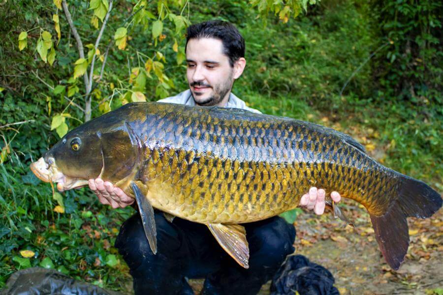 CARP LSD | Carpe en automne et hiver : Mes stratégies gagnantes