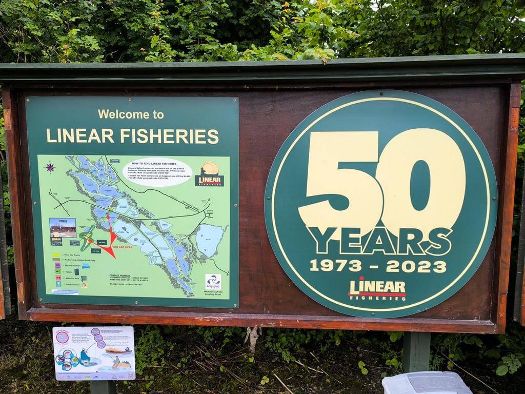 CARP LSD | Pêche en Angleterre