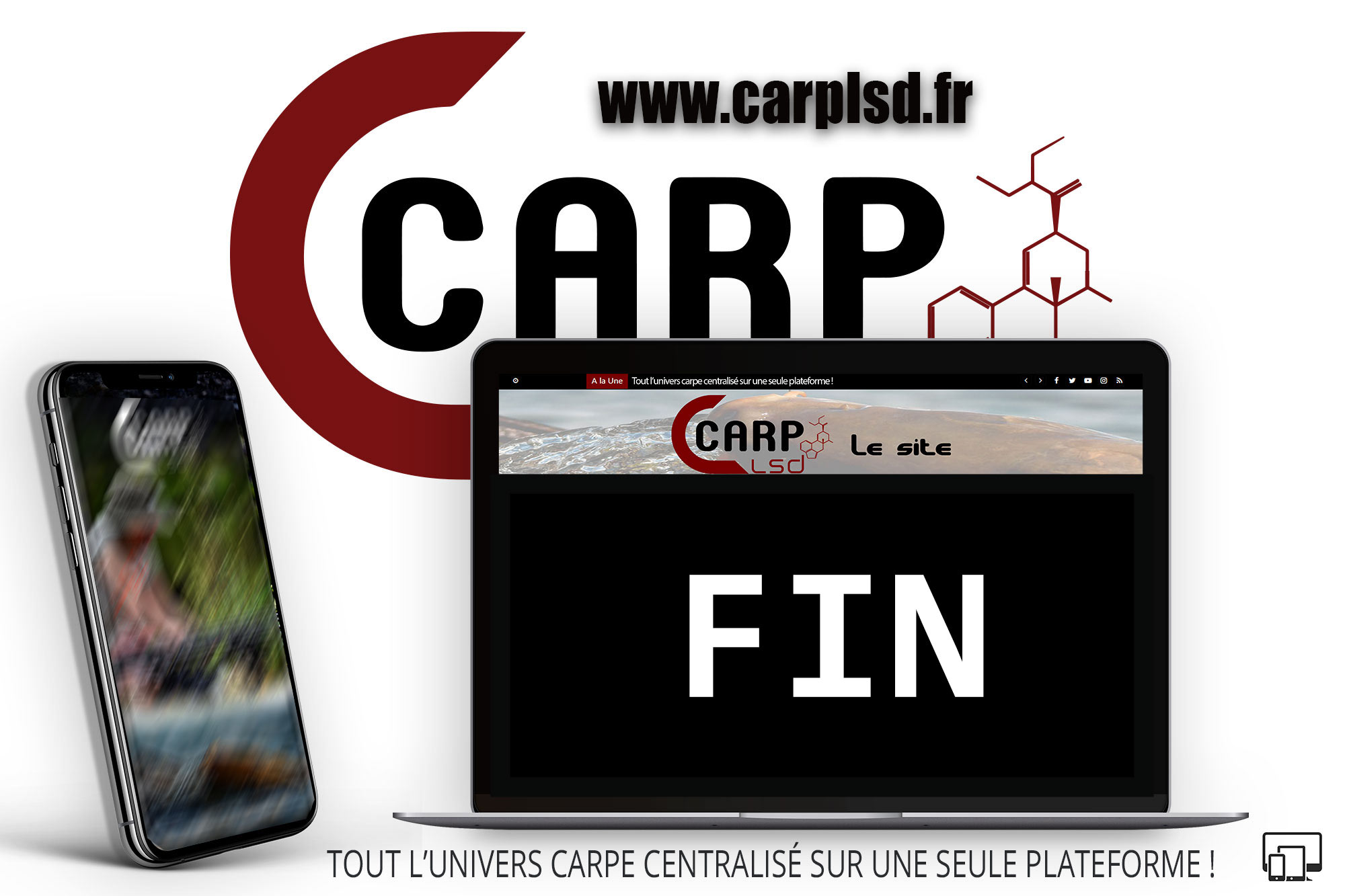 CARP LSD | Clap de fin pour CARP LSD